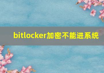 bitlocker加密不能进系统