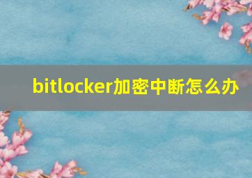 bitlocker加密中断怎么办