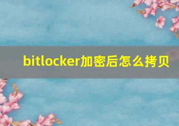 bitlocker加密后怎么拷贝