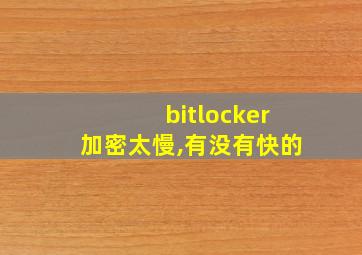 bitlocker加密太慢,有没有快的