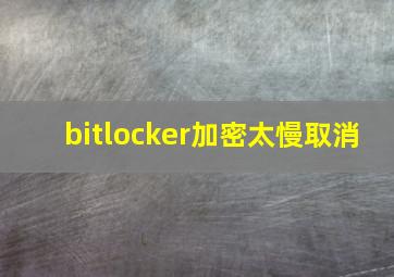 bitlocker加密太慢取消