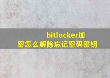 bitlocker加密怎么解除忘记密码密钥