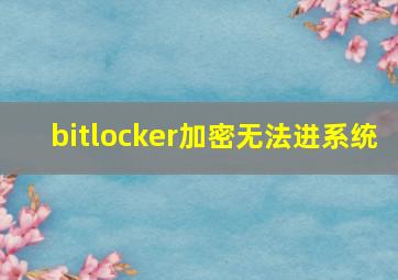 bitlocker加密无法进系统