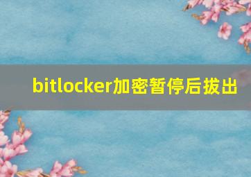 bitlocker加密暂停后拔出