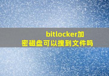 bitlocker加密磁盘可以搜到文件吗