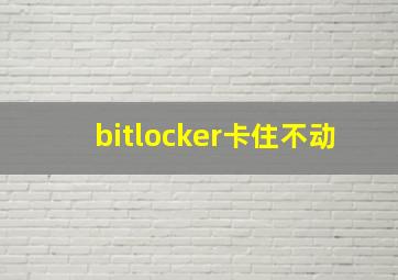 bitlocker卡住不动