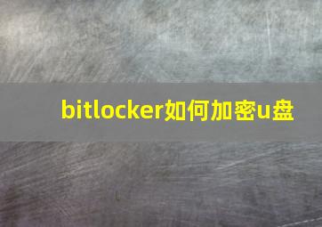 bitlocker如何加密u盘