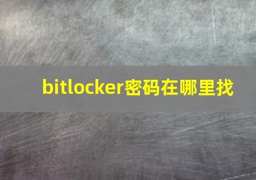 bitlocker密码在哪里找