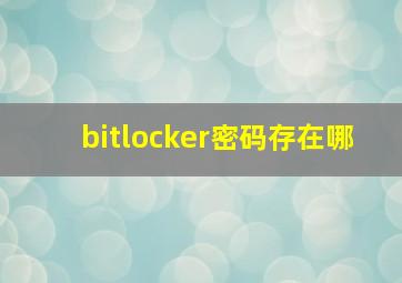 bitlocker密码存在哪