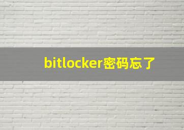 bitlocker密码忘了