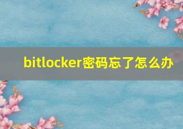 bitlocker密码忘了怎么办