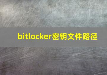 bitlocker密钥文件路径