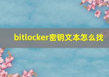 bitlocker密钥文本怎么找