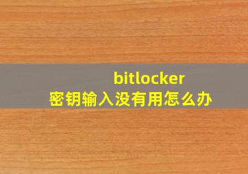 bitlocker密钥输入没有用怎么办