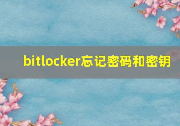 bitlocker忘记密码和密钥