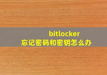 bitlocker忘记密码和密钥怎么办