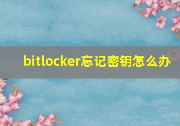 bitlocker忘记密钥怎么办