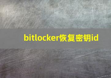 bitlocker恢复密钥id