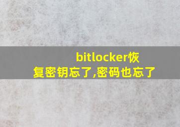 bitlocker恢复密钥忘了,密码也忘了