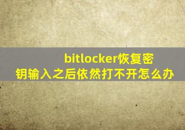 bitlocker恢复密钥输入之后依然打不开怎么办