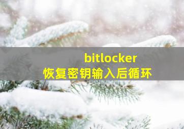 bitlocker恢复密钥输入后循环