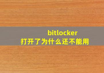 bitlocker打开了为什么还不能用