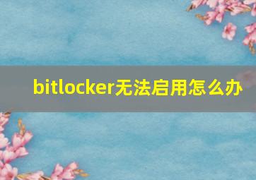 bitlocker无法启用怎么办