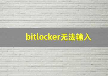 bitlocker无法输入