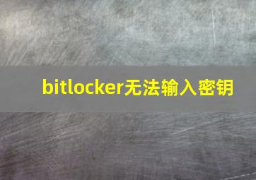 bitlocker无法输入密钥