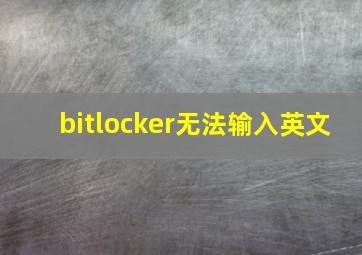 bitlocker无法输入英文