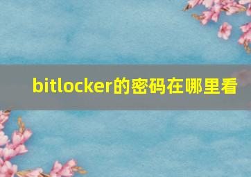 bitlocker的密码在哪里看