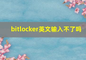 bitlocker英文输入不了吗