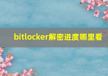 bitlocker解密进度哪里看