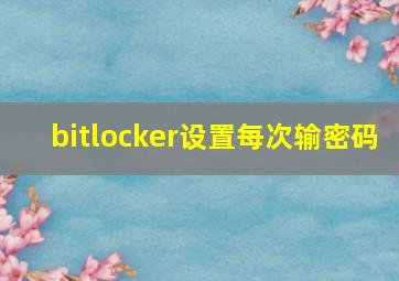 bitlocker设置每次输密码