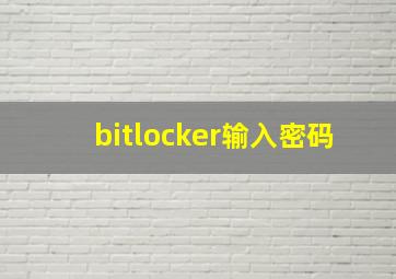 bitlocker输入密码