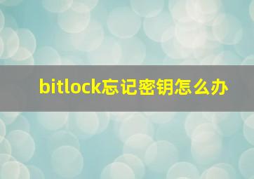 bitlock忘记密钥怎么办