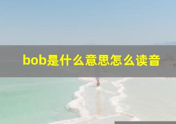 bob是什么意思怎么读音