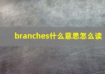 branches什么意思怎么读