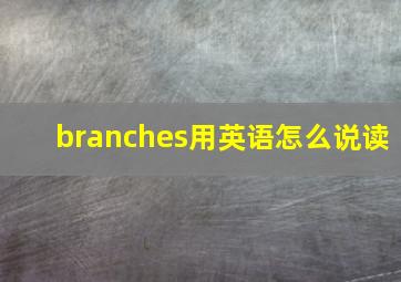 branches用英语怎么说读