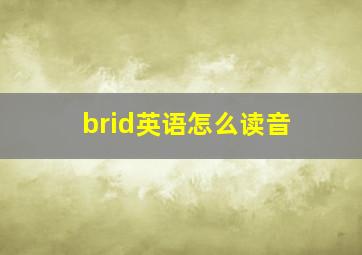 brid英语怎么读音