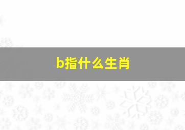 b指什么生肖