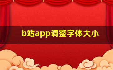 b站app调整字体大小