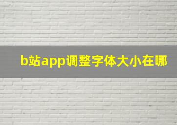 b站app调整字体大小在哪