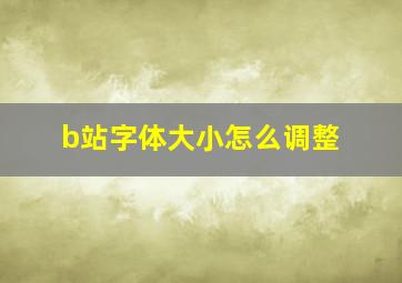 b站字体大小怎么调整