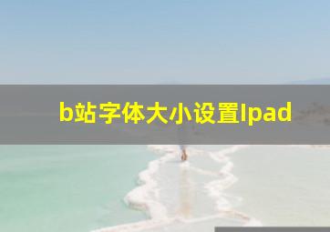 b站字体大小设置Ipad