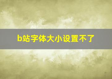 b站字体大小设置不了