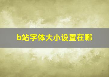 b站字体大小设置在哪