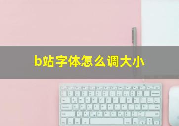 b站字体怎么调大小