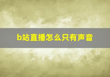 b站直播怎么只有声音