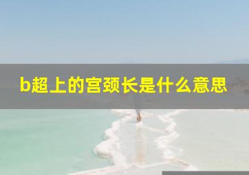 b超上的宫颈长是什么意思